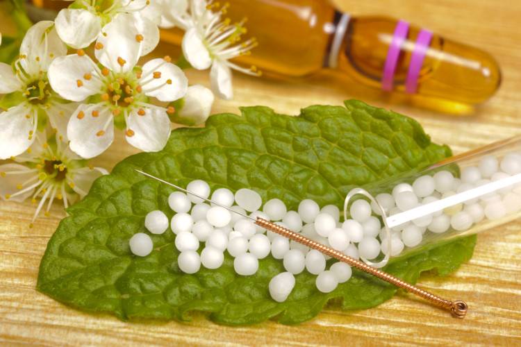 Homöopathie für Haustiere